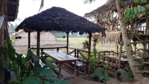 10 Tempat Makan di Kabupaten Pringsewu